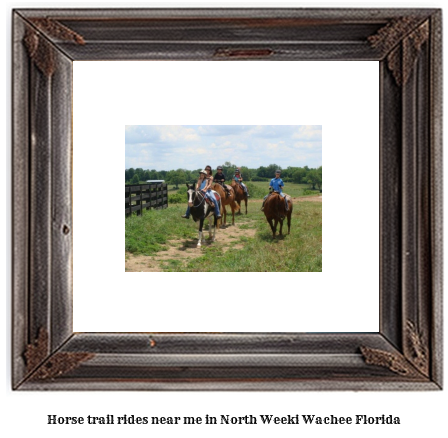 horse trail rides near me in North Weeki Wachee, Florida